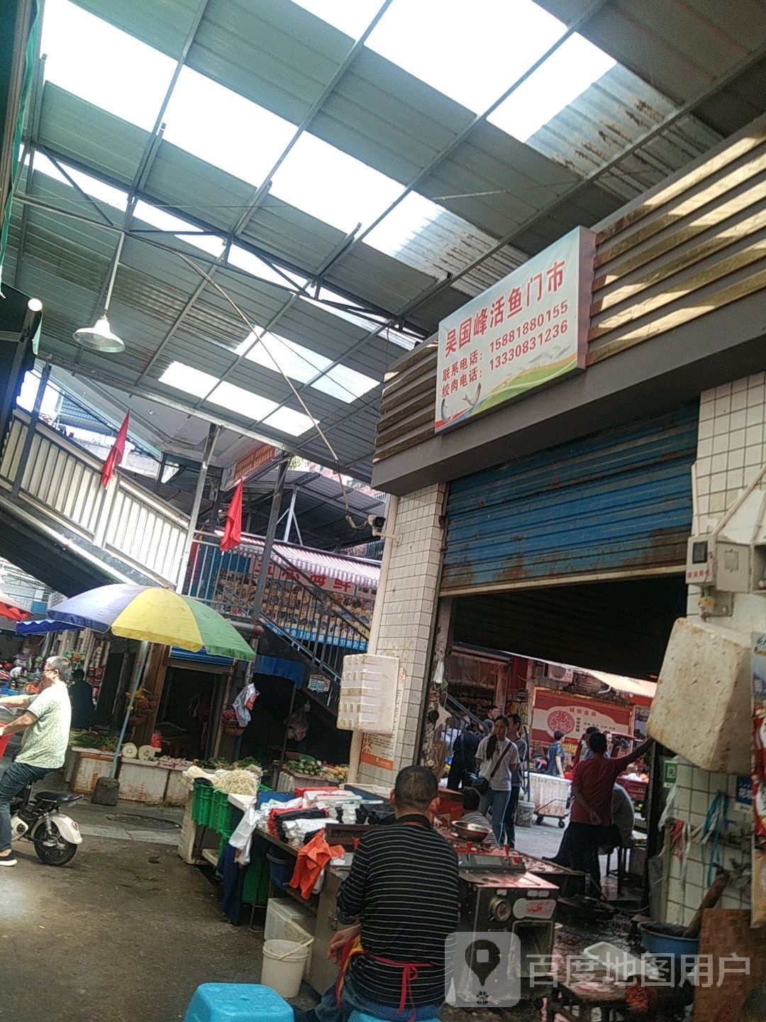 吴国峰活鱼门市