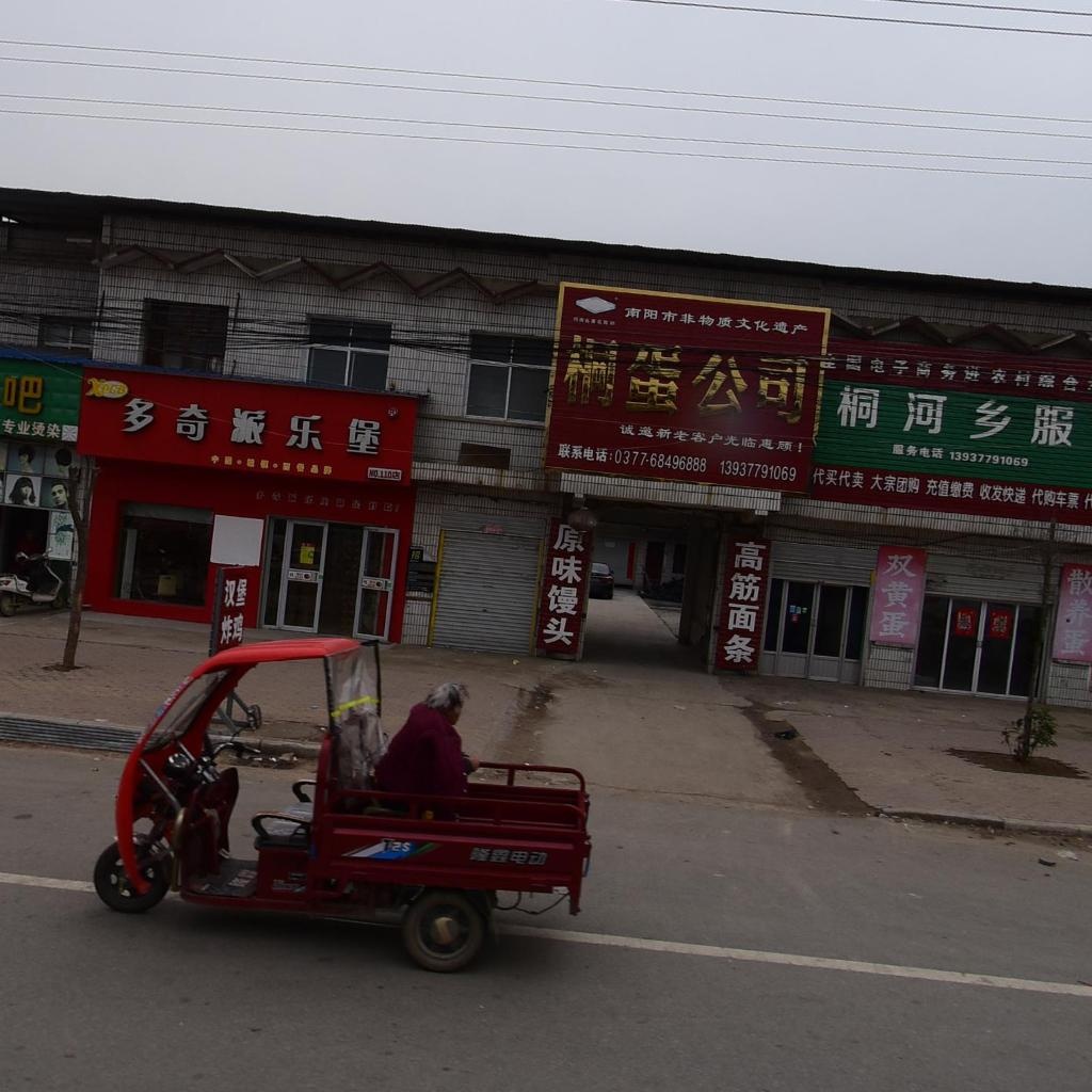 桐河乡人民政府