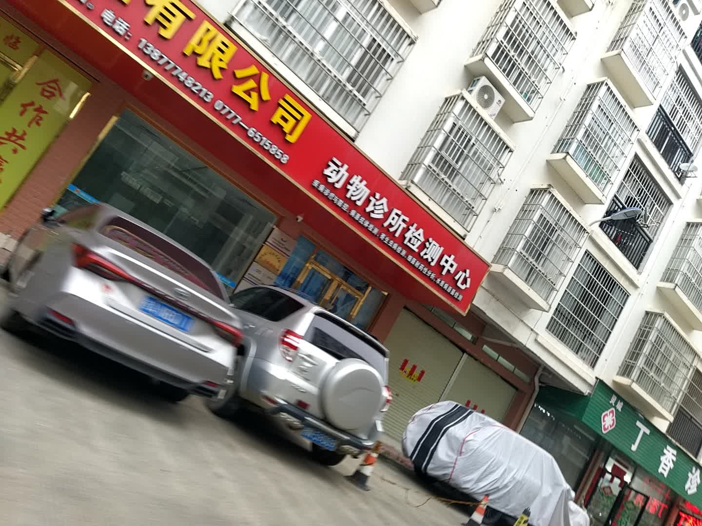 动物诊所检测中心