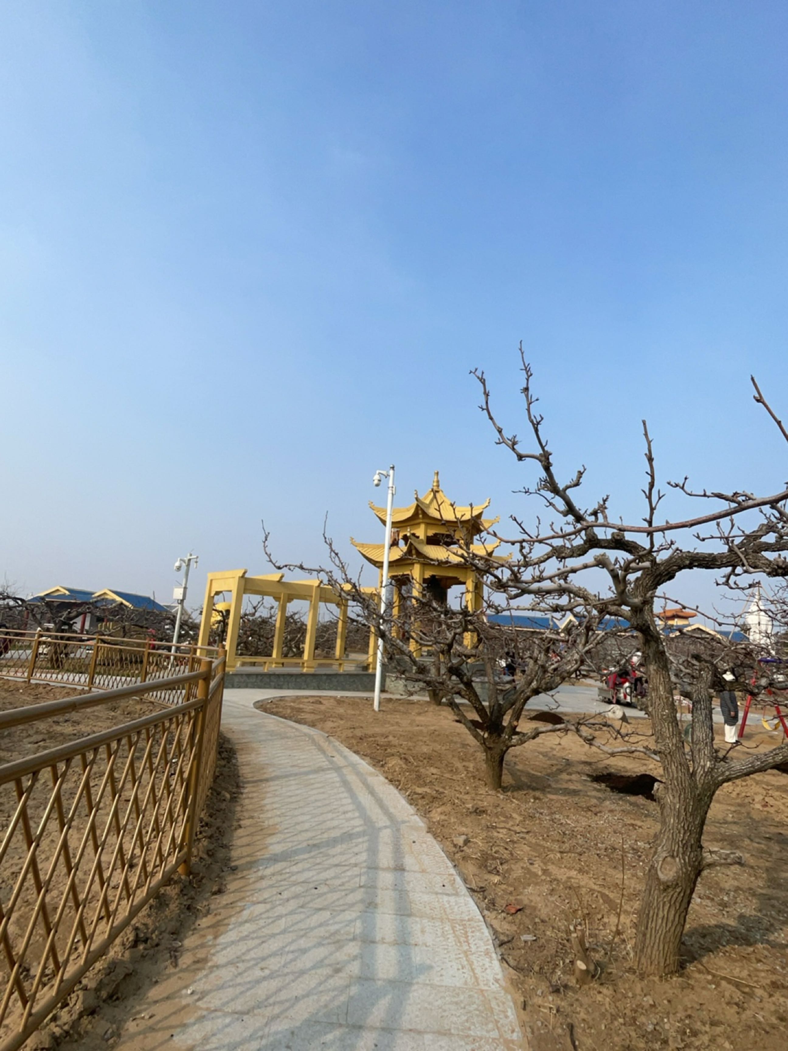 冠州梨园