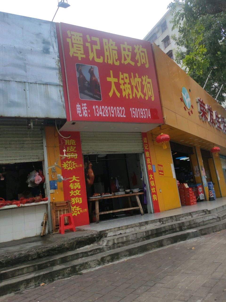 谭记脆皮狗