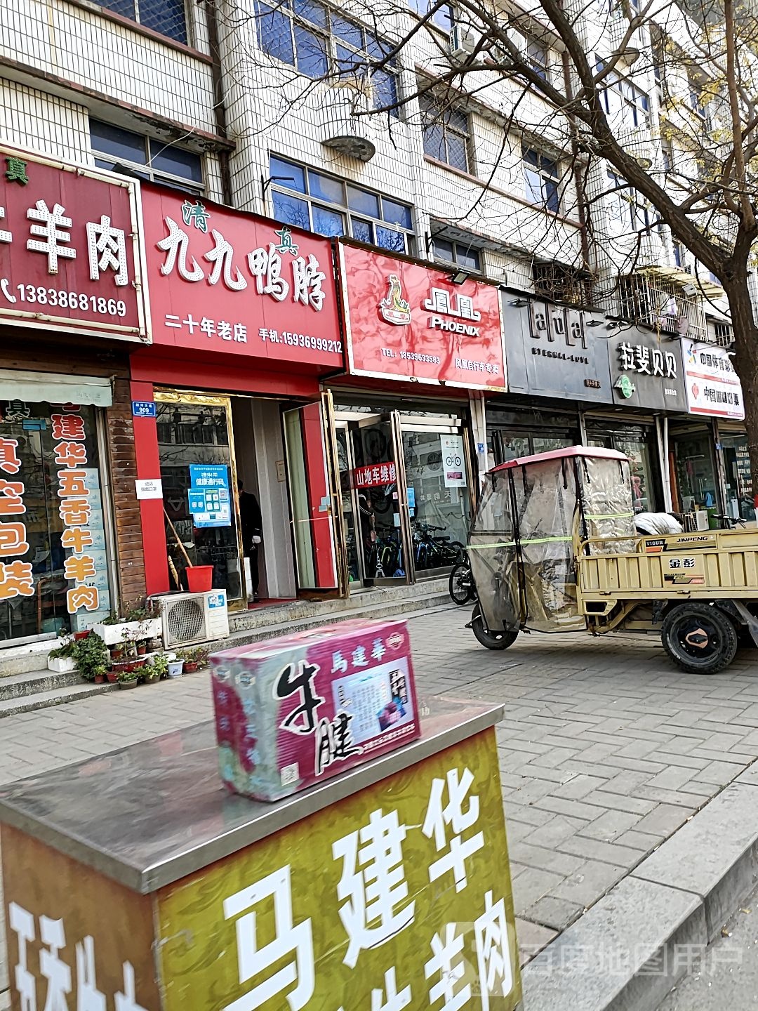 沈丘县凤凰自行车(沈丘专卖店)