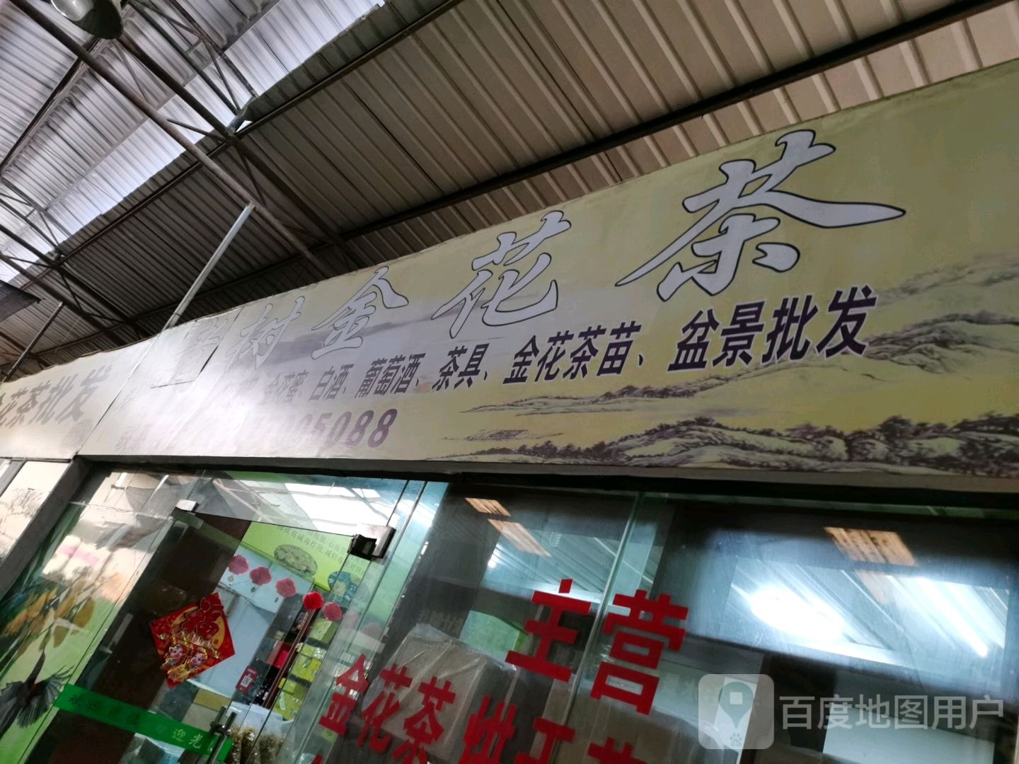 老树金花茶批发(兴港花卉市场店)