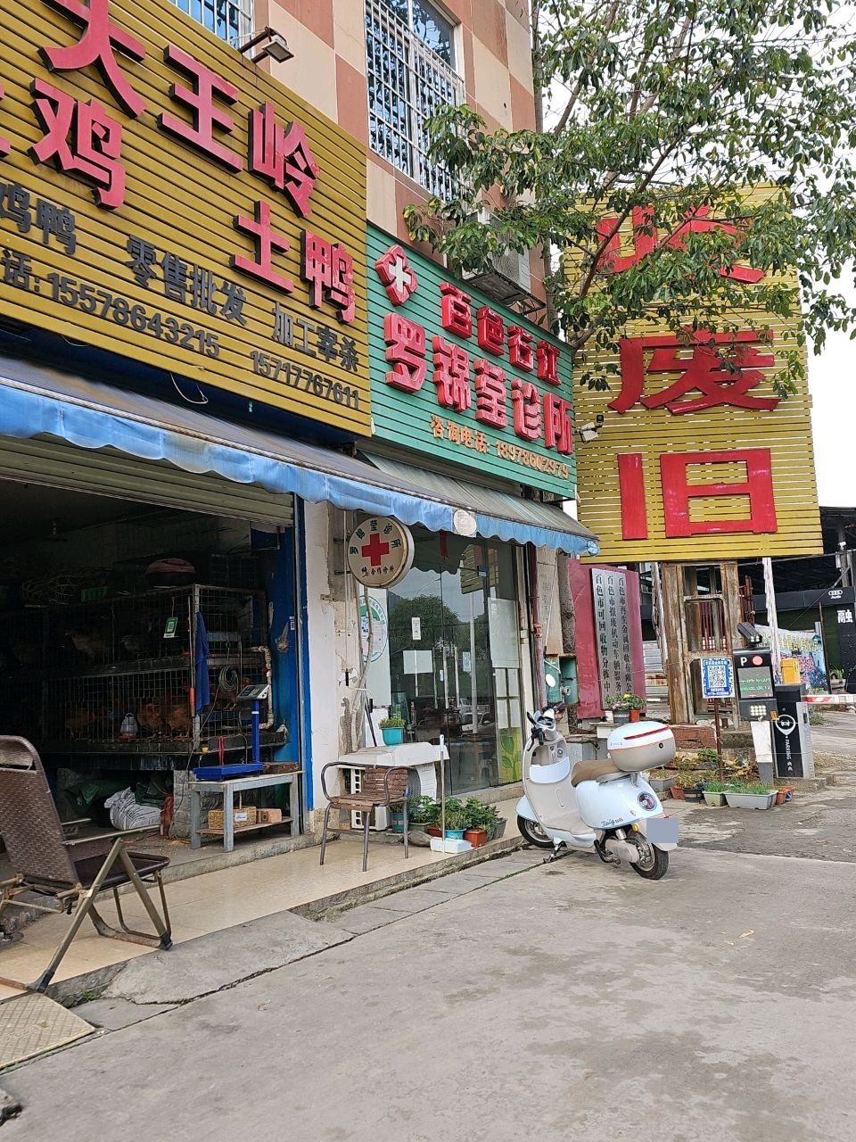 收废旧