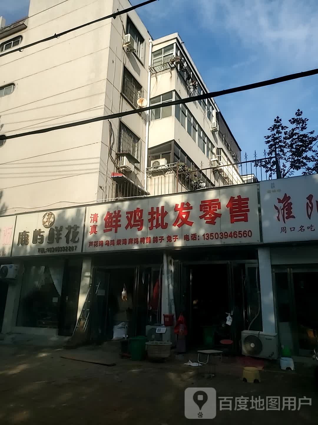 鲜鸡批发零售