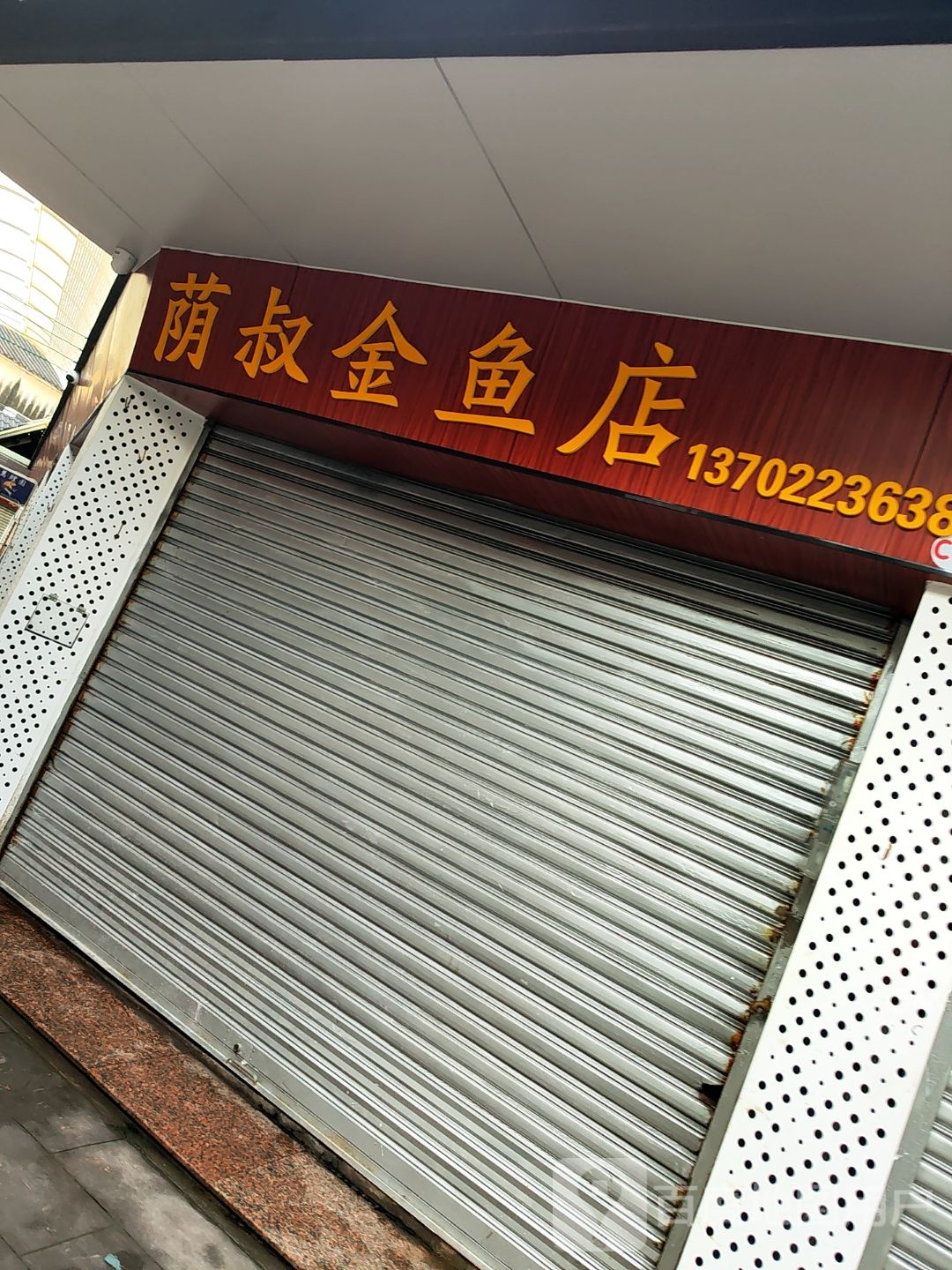 萌叔金鱼店