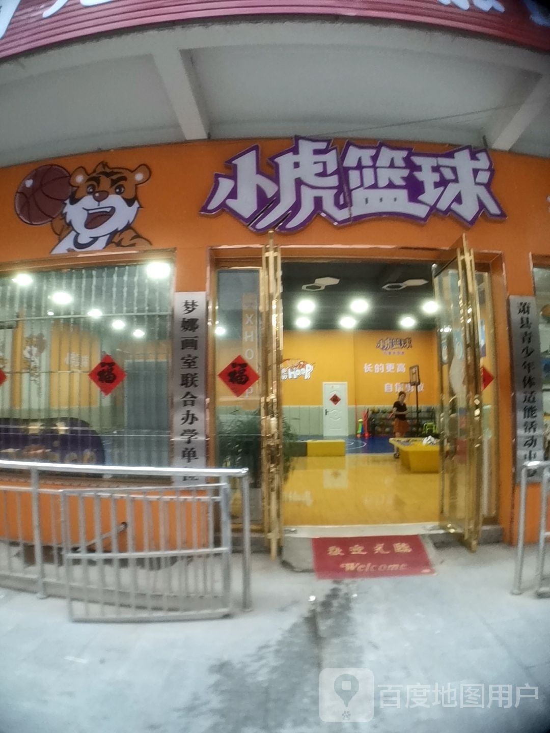 小虎篮球