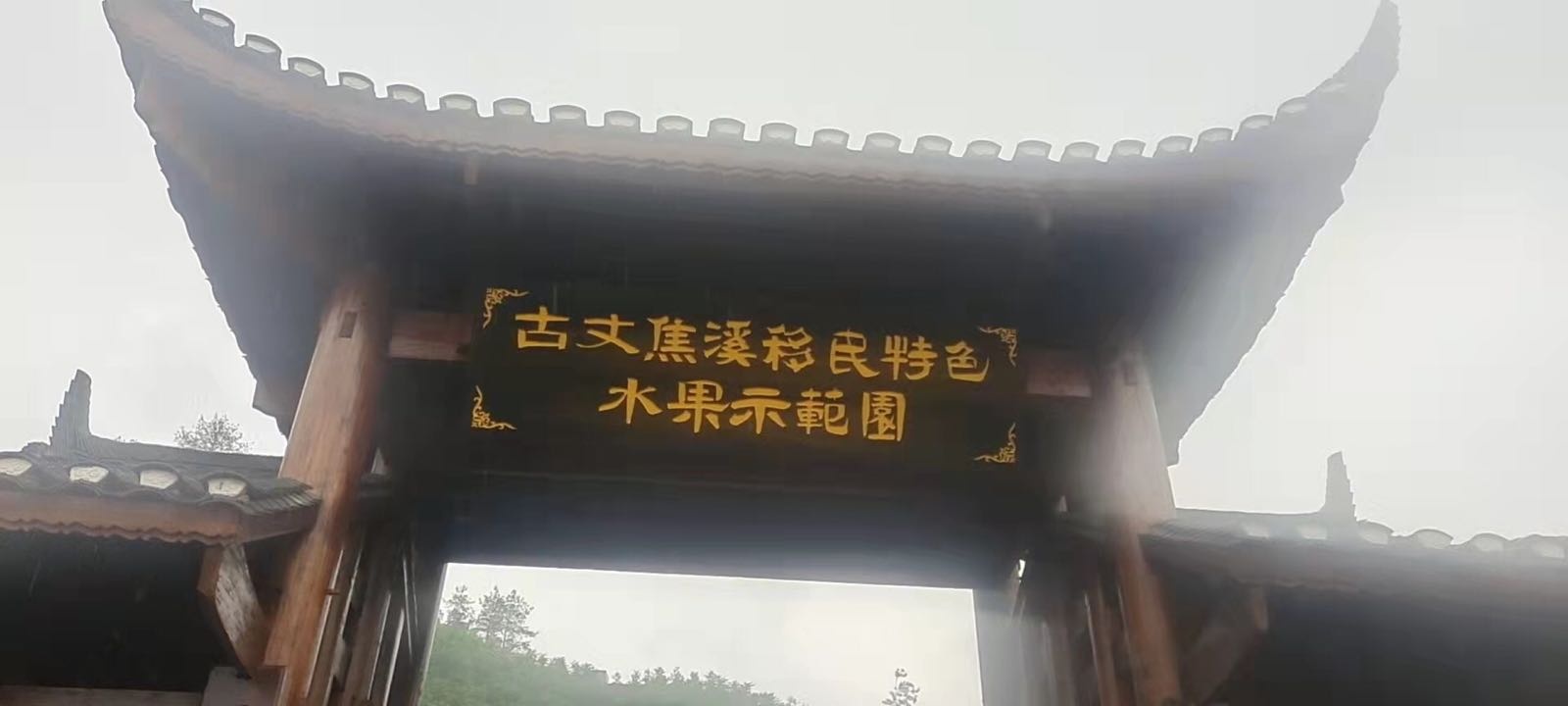 古文焦溪移民特色水果示范园
