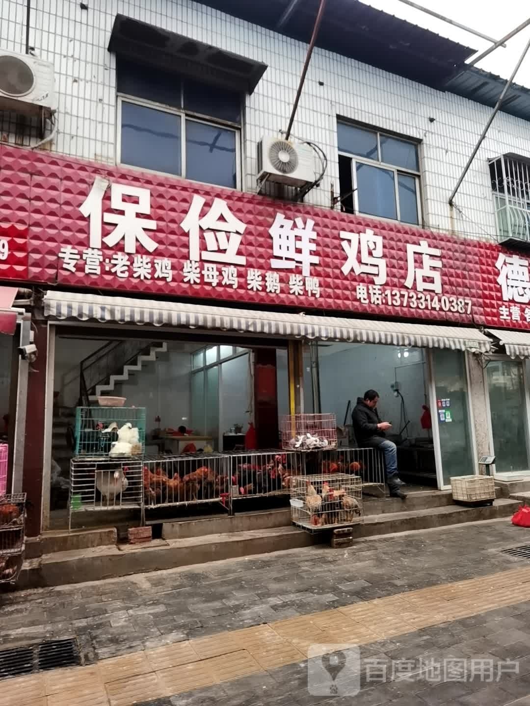 社旗县保险活鸡店