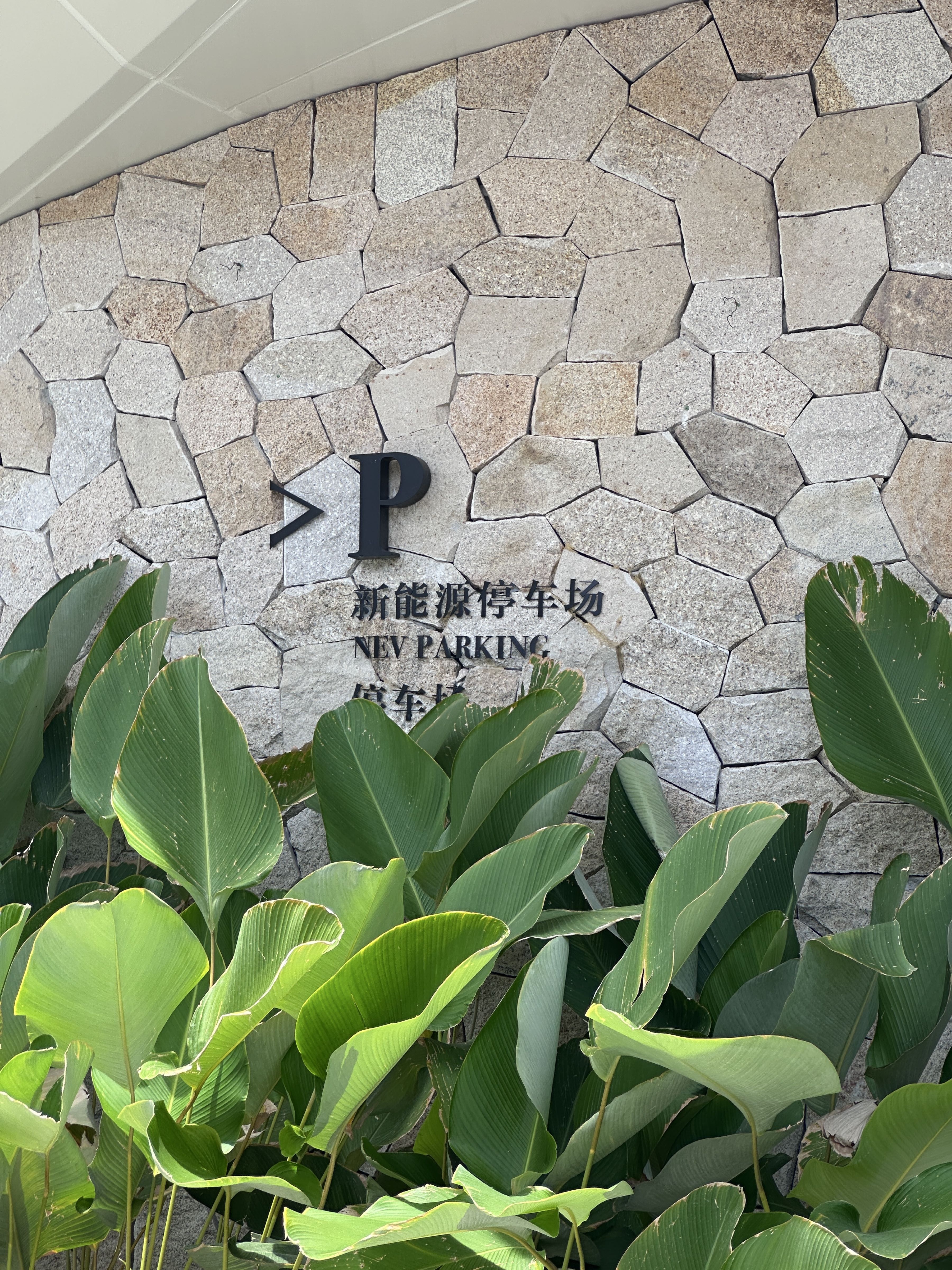 海南清水湾金普顿酒店-地上停车场