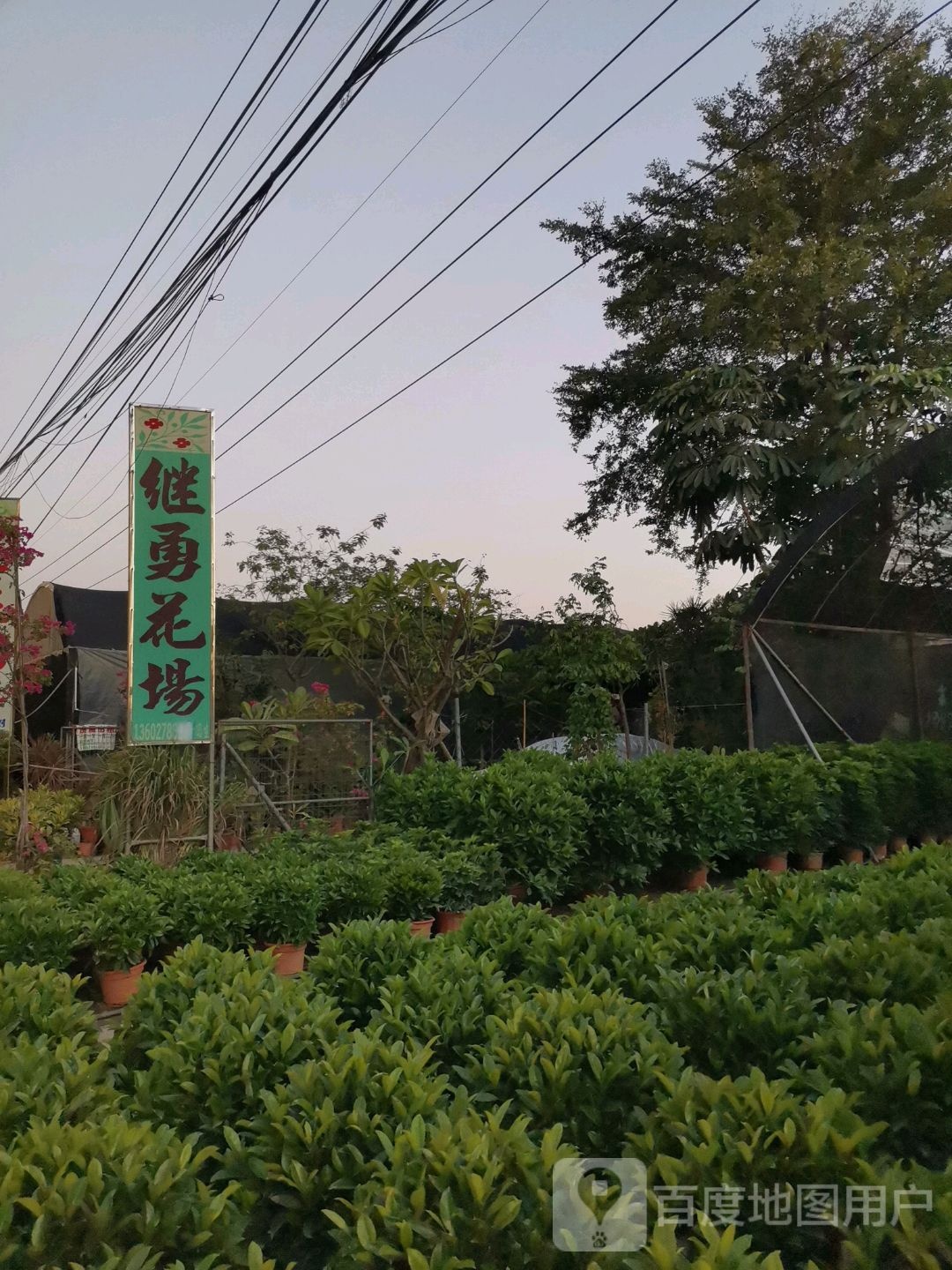 继勇花场