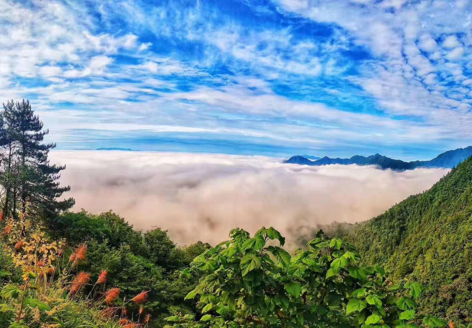 白济原生态风景区