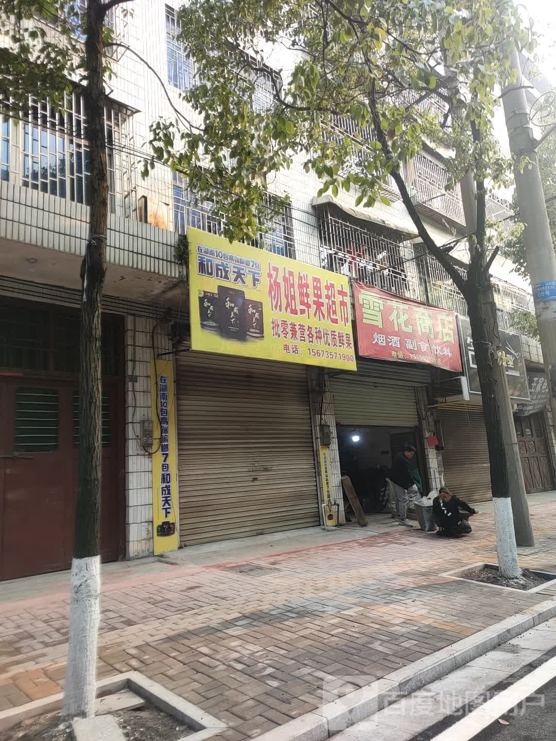 杨姐鲜果超市市