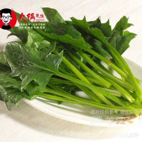 火锅先生24小时公尚火锅外卖(坛前路店)