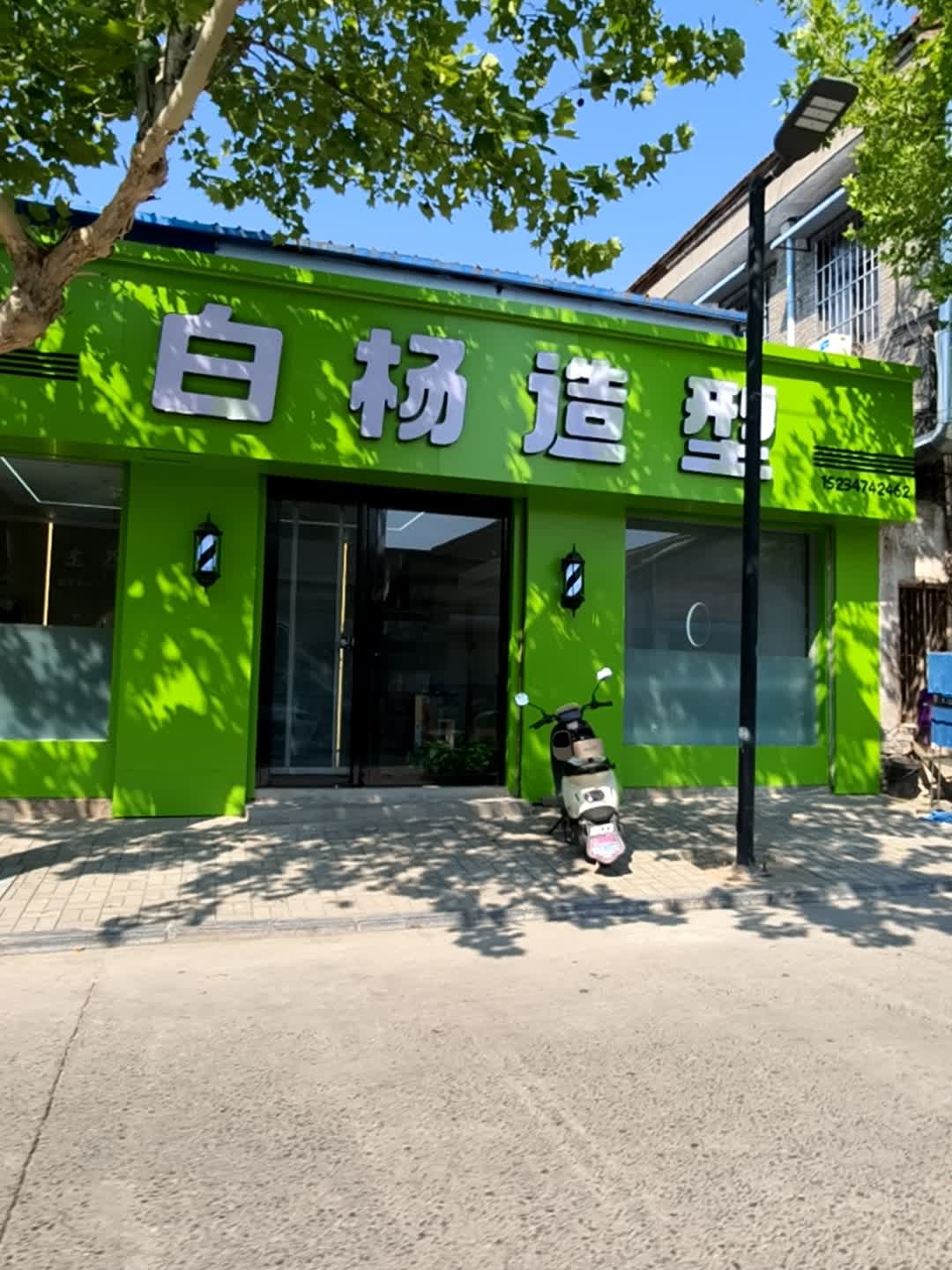 白杨造型