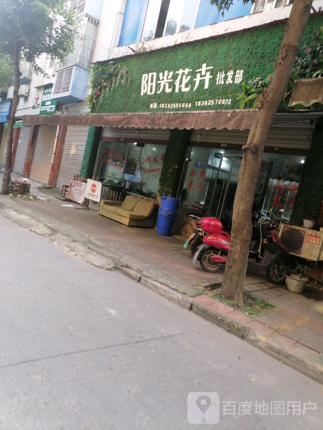 花匠先生阳光花卉批发部