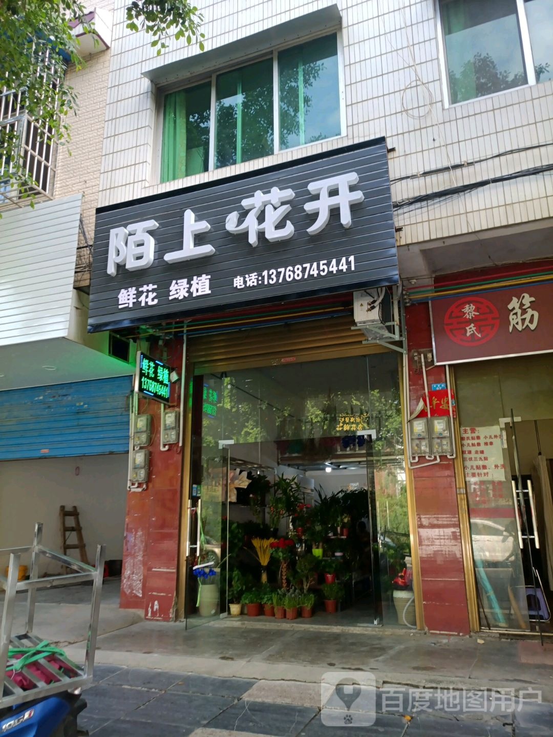 陌上花开鲜华绿植