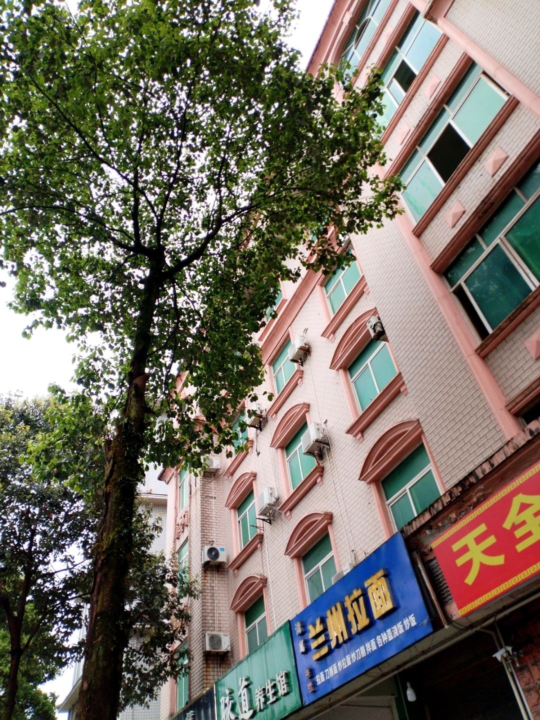清真兰州拉面(向阳大道店)