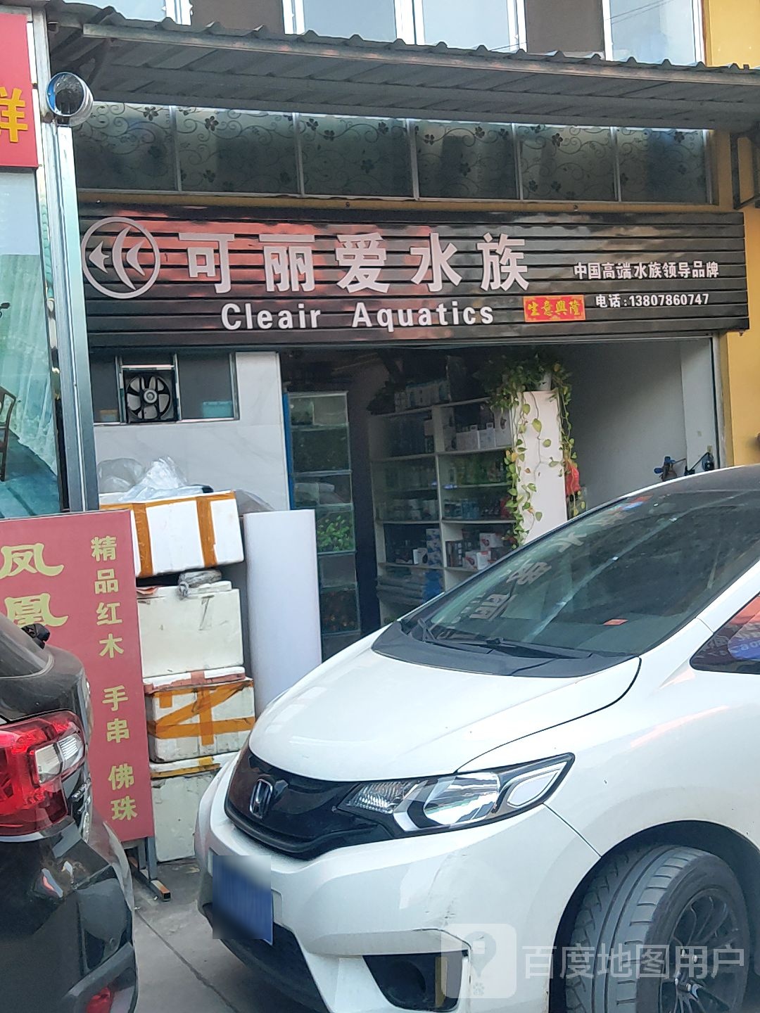 可怜爱水族(百色百泉花鸟市场店)