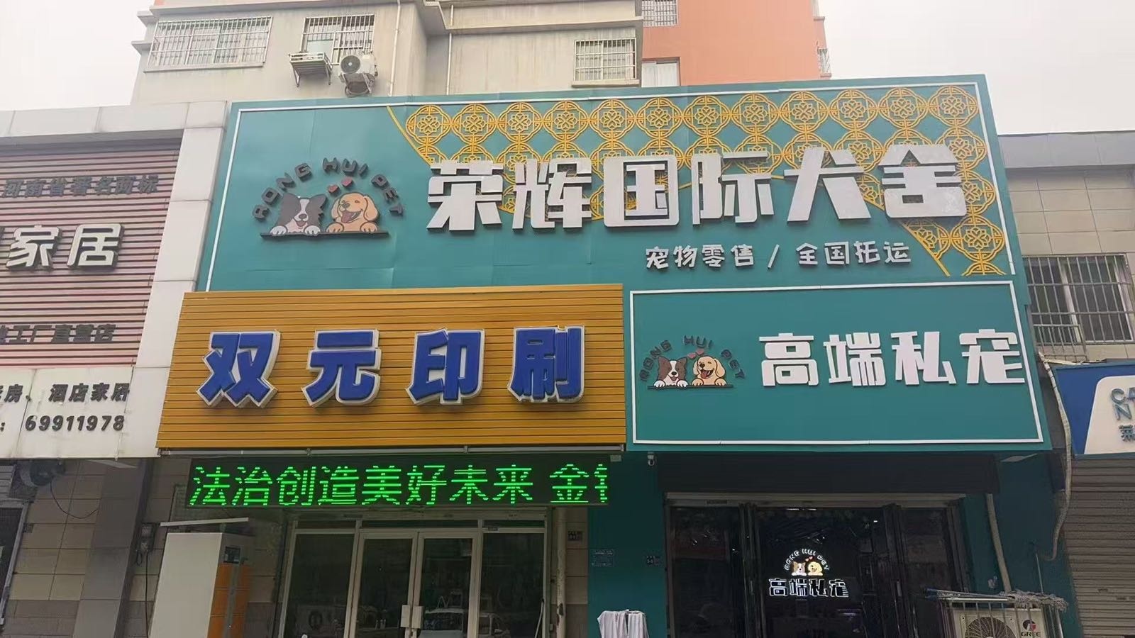 荣辉国际犬舍宠物市场