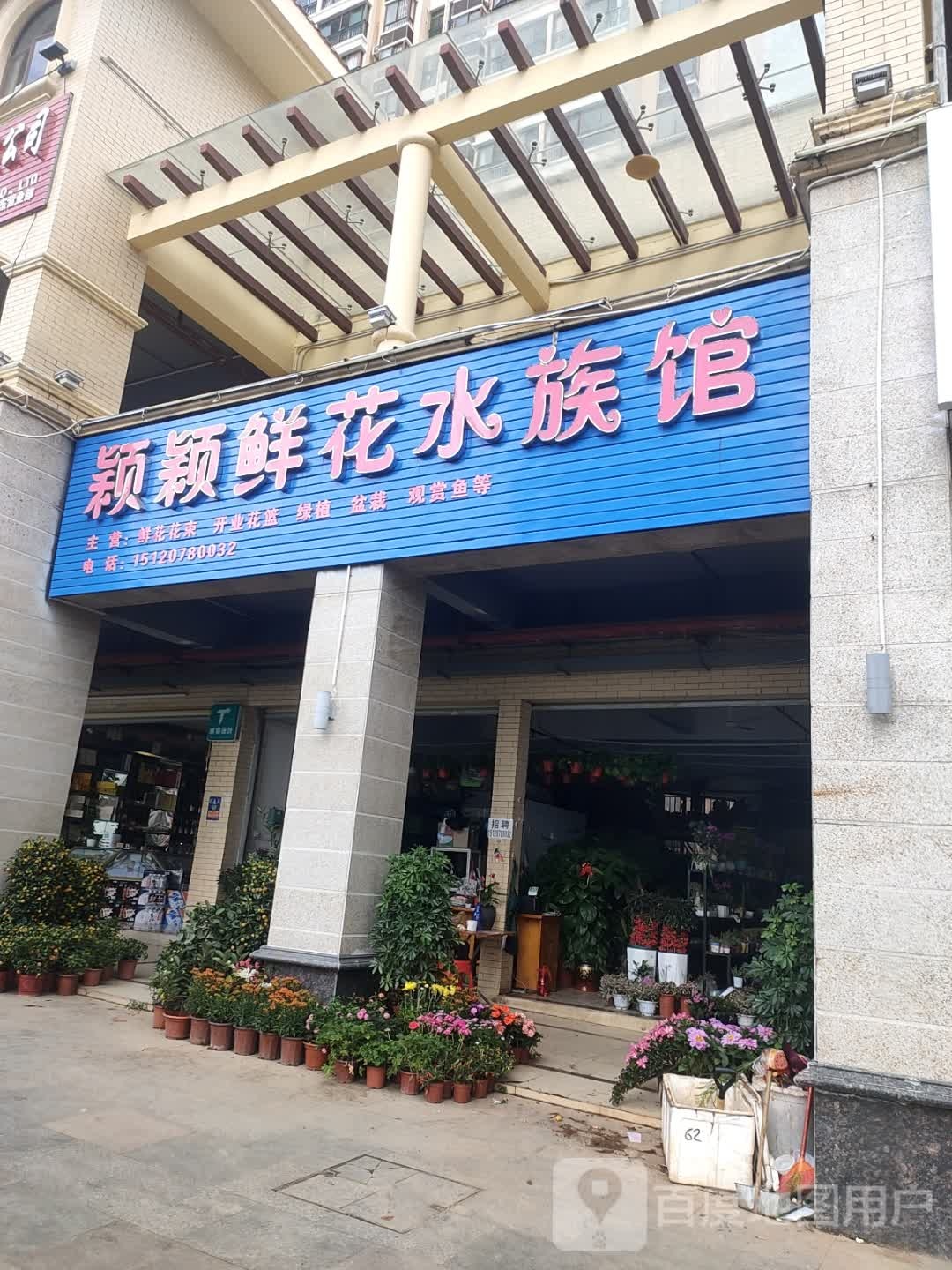 颖颖鲜花水族馆