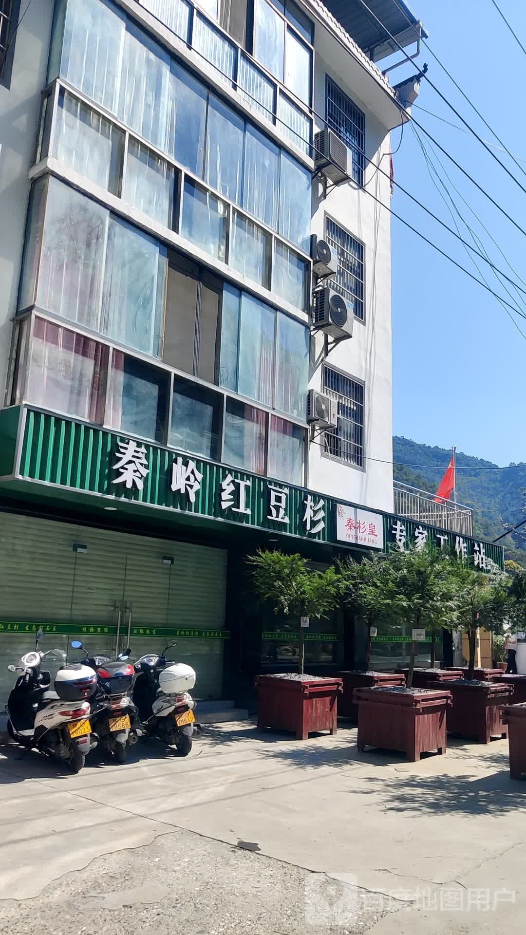 秦岭红豆杉专家工作站