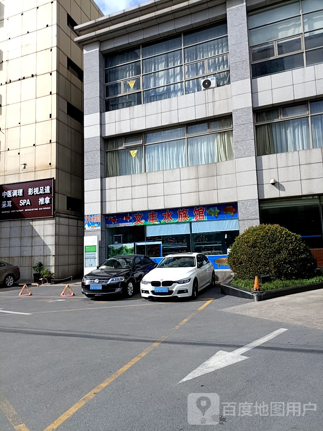 文锋水族