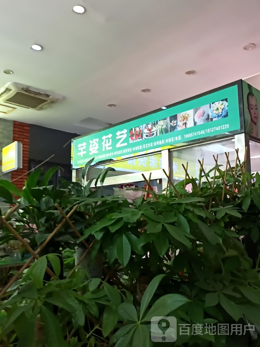 芊资水族鲜花坊(创荣时代广场店)