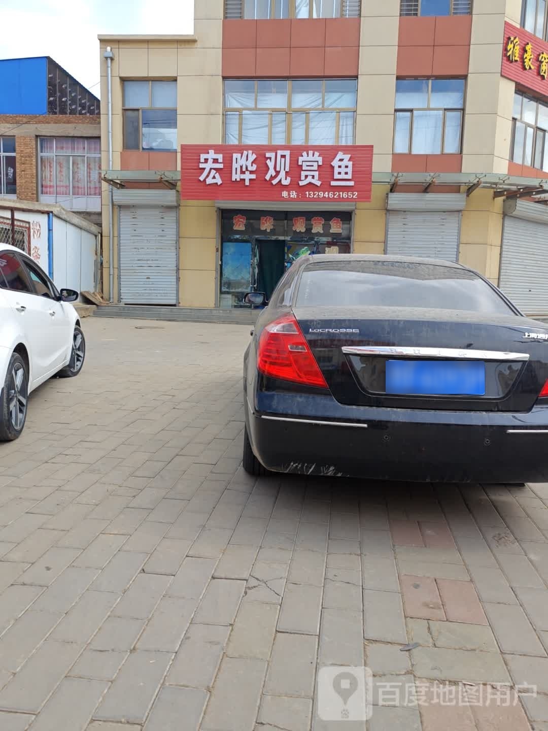 宏晔观赏鱼