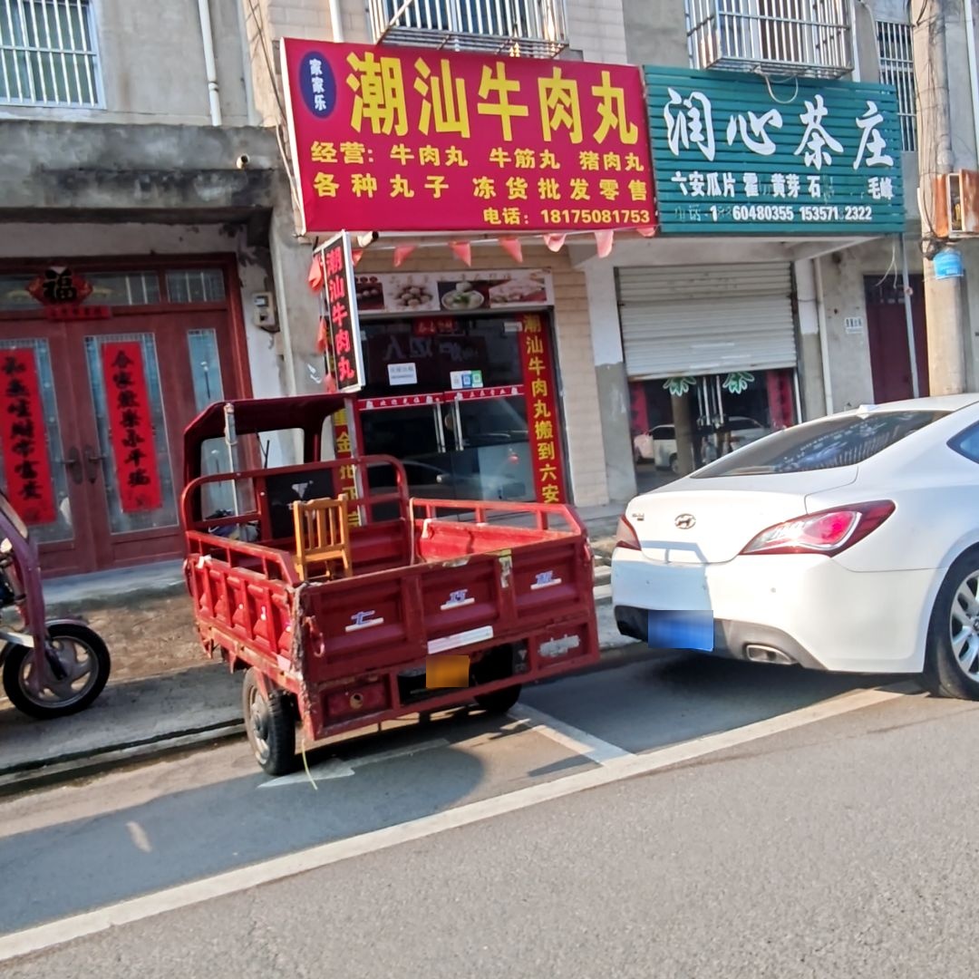 潮汕牛肉丸(家家乐)