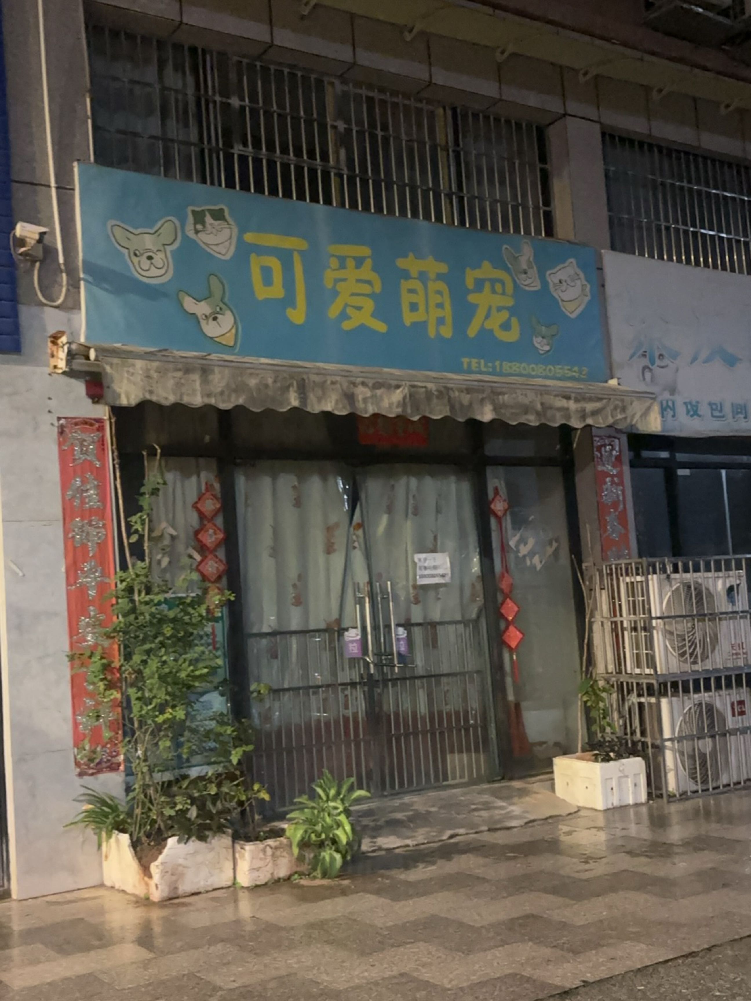 可爱萌宠(国贸花园店)