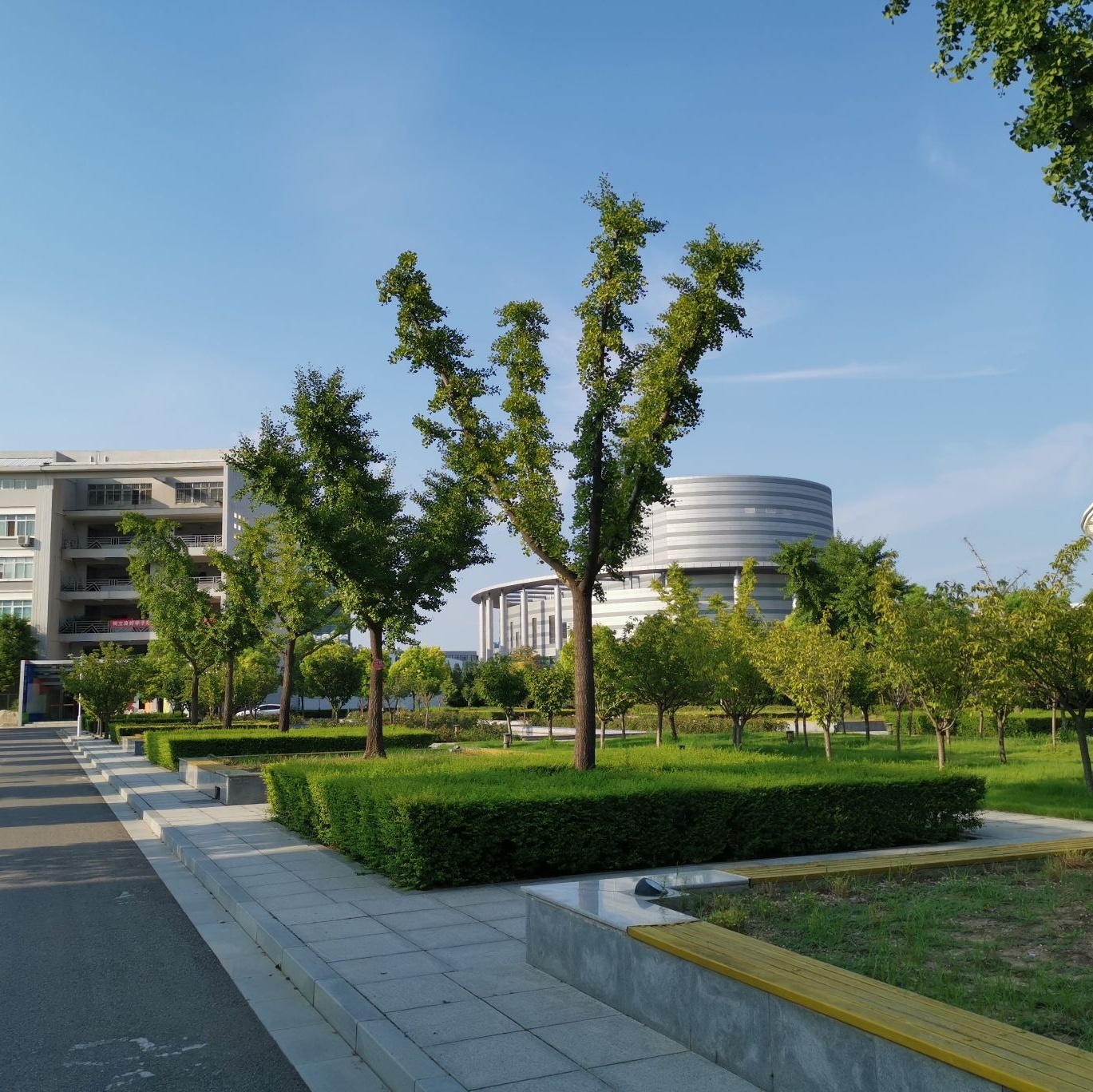 周口师范学院