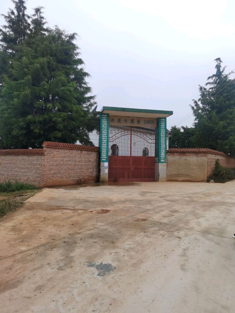赫斐清真寺
