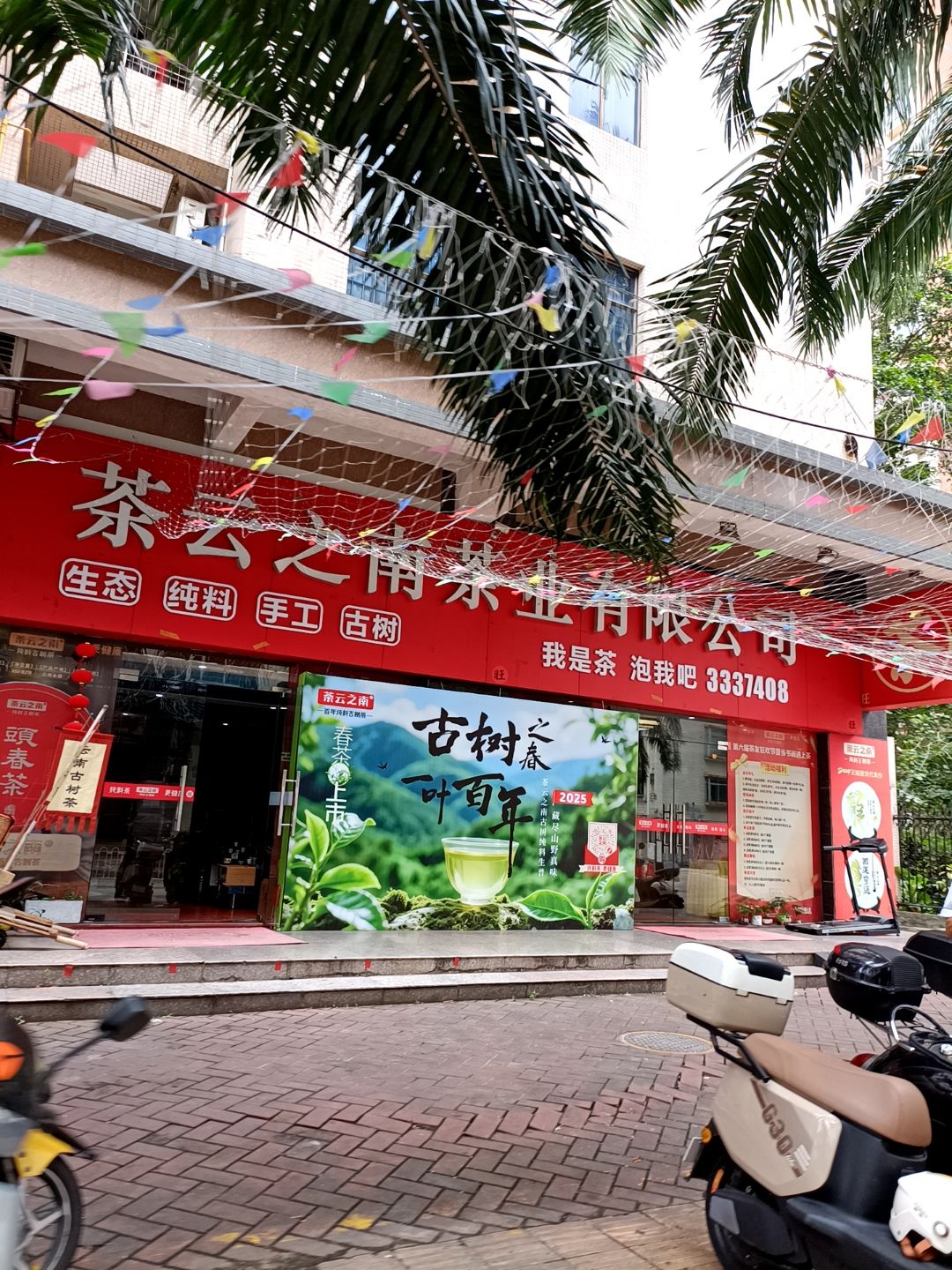 茶云之南茶业有限公司