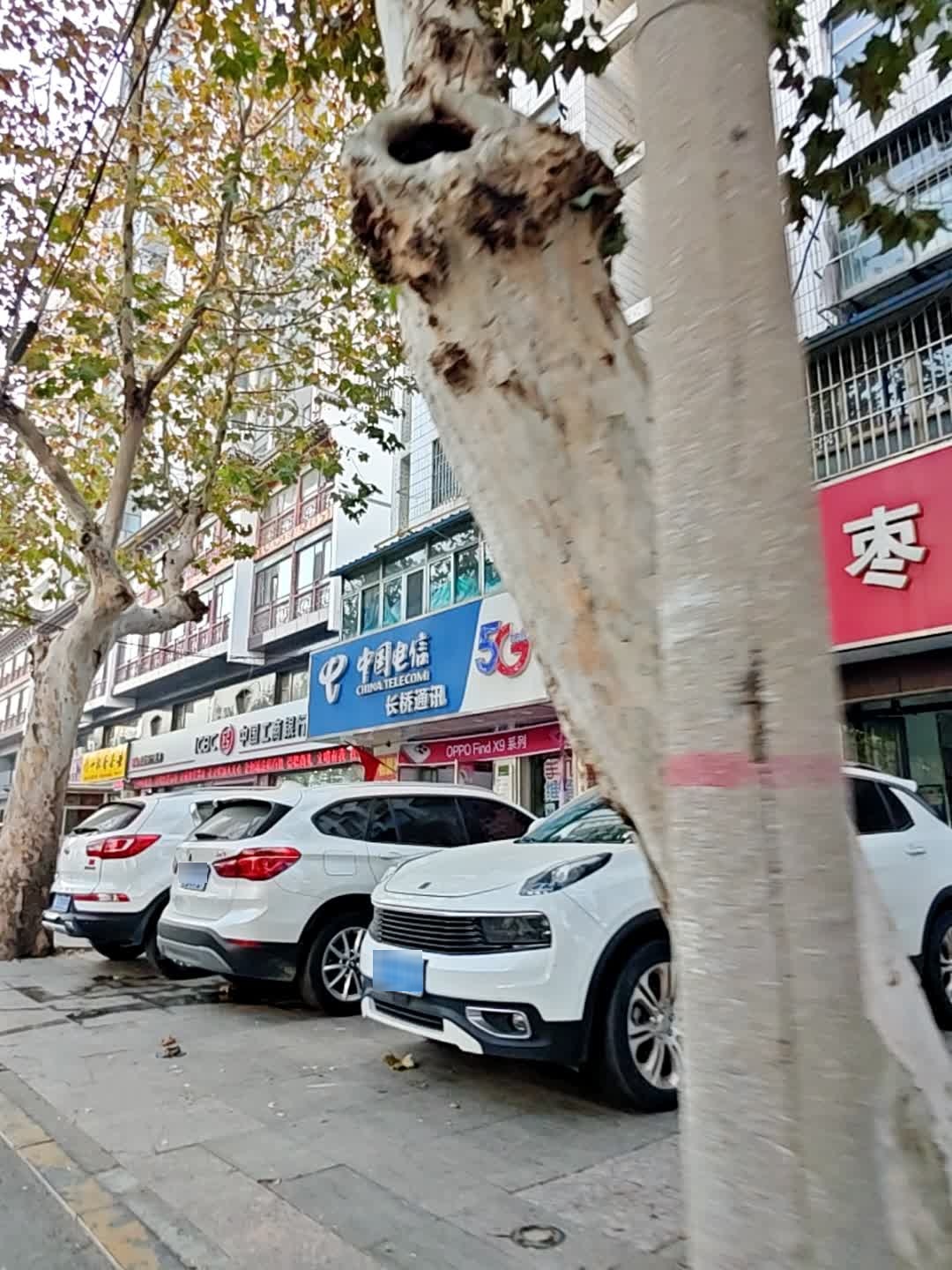 中国电信(府前路店)