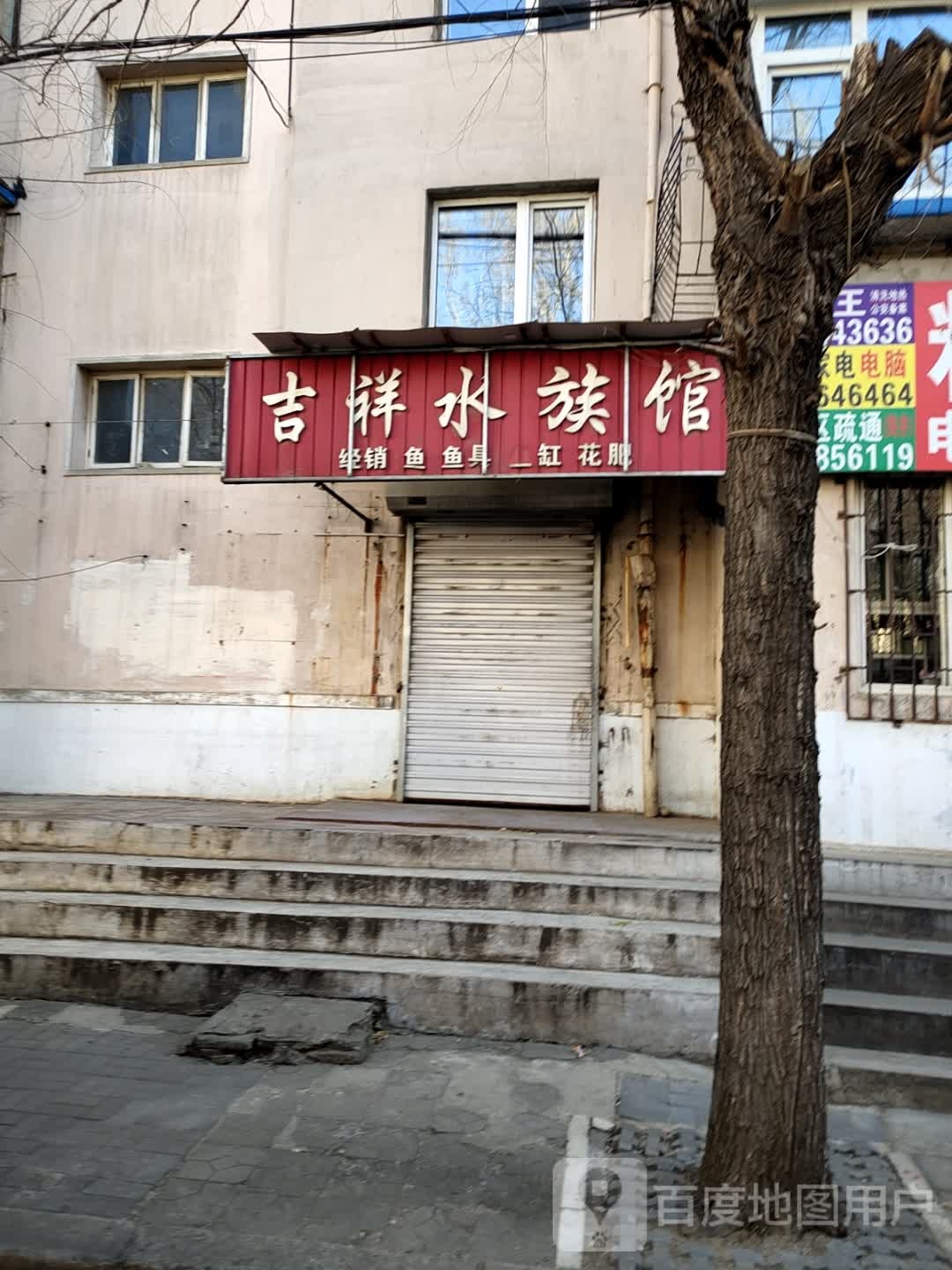 吉祥水族馆(艳路2期店)