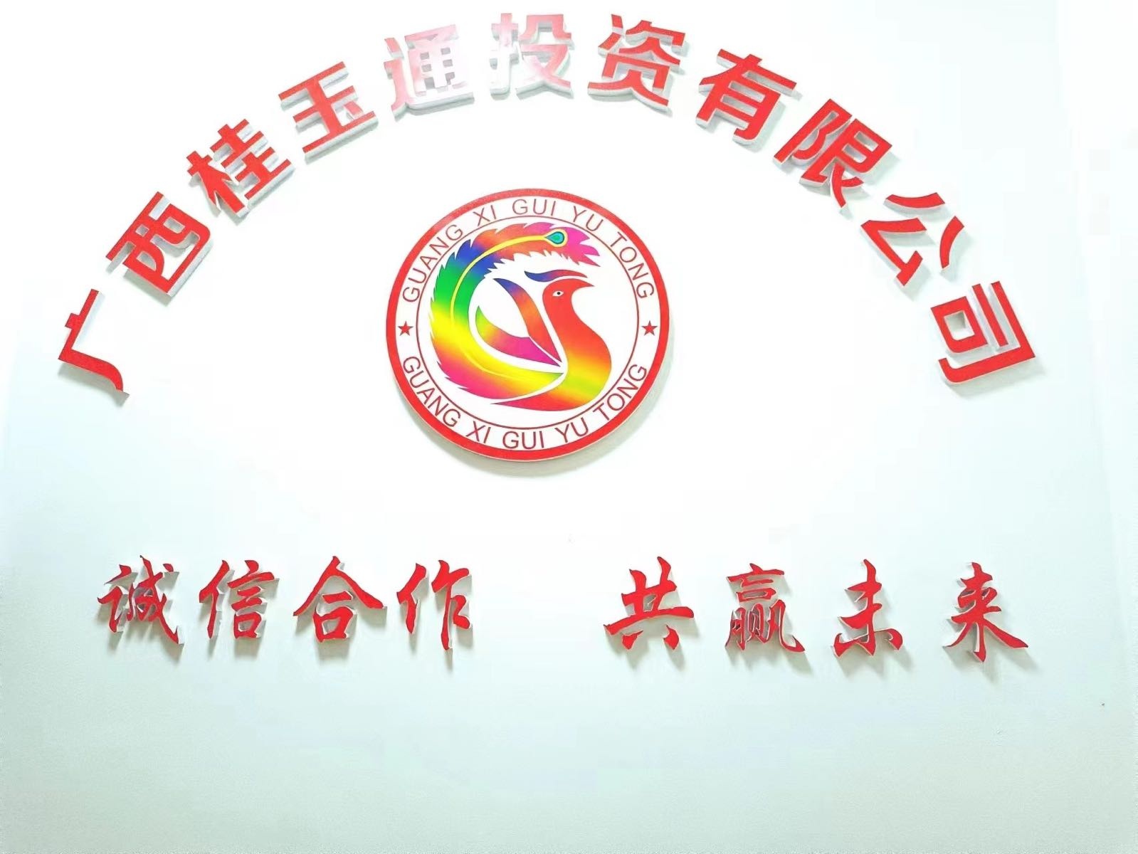 广西桂玉通投资有限公司