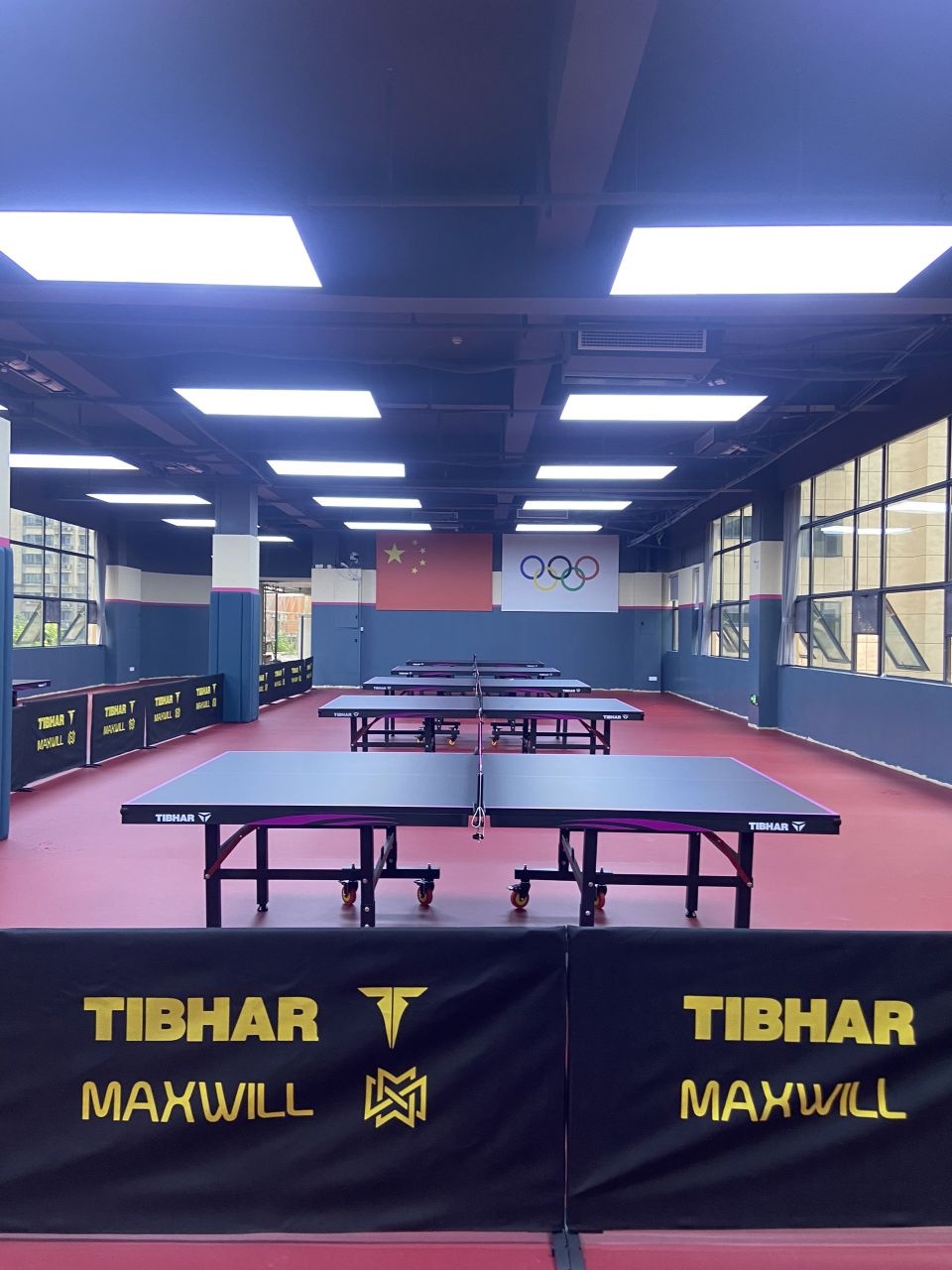 飞阳婉柠乒乓球馆
