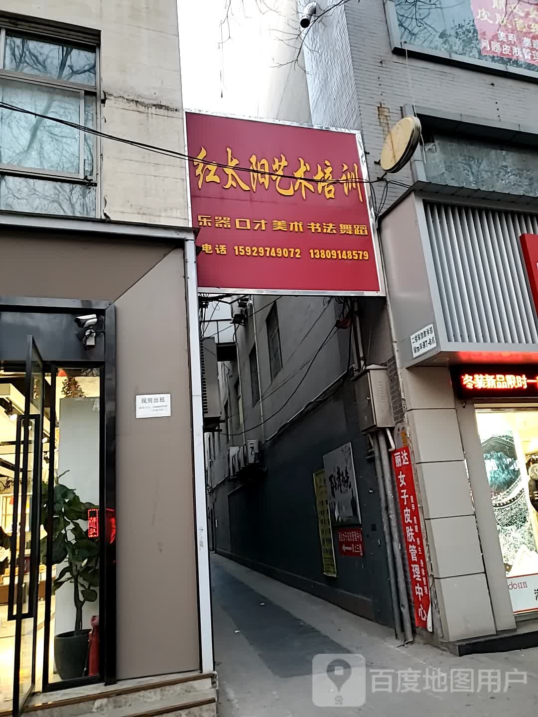 金太阳艺术培训