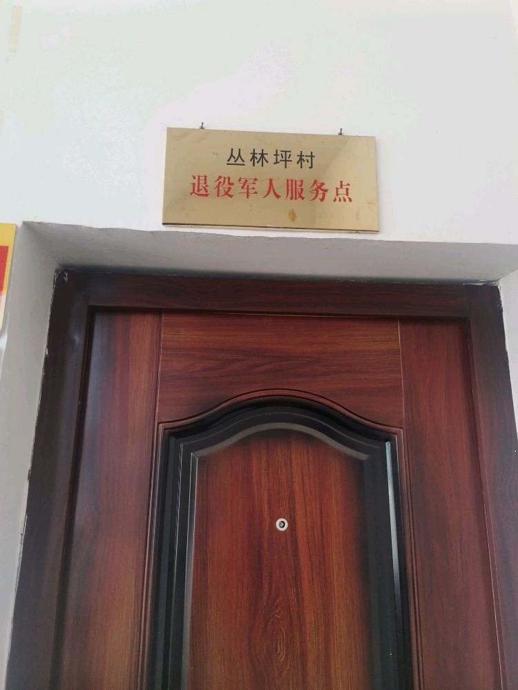 丛林坪村