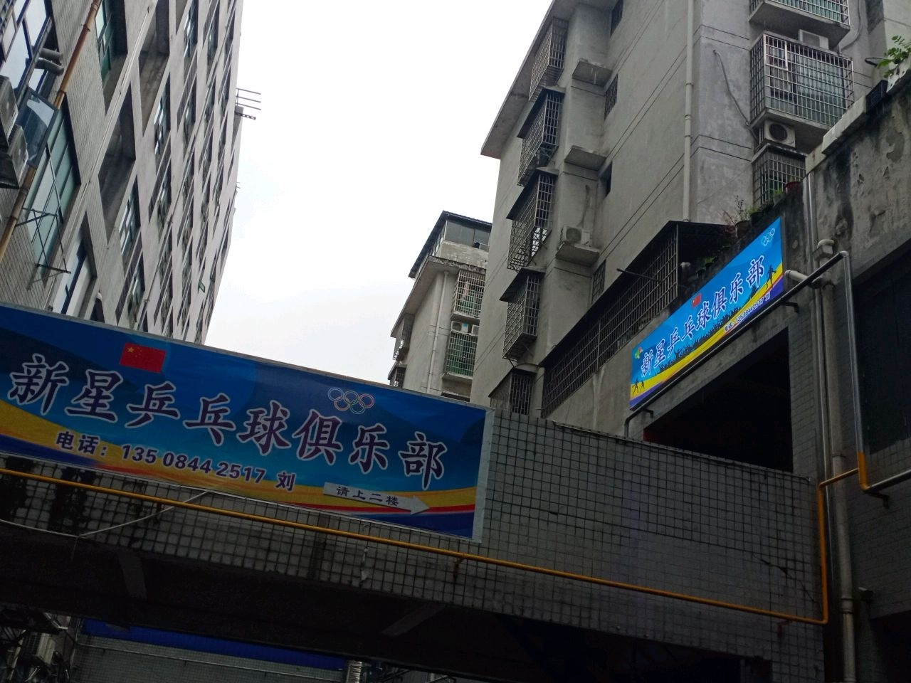 枫林街道新星乒乓球俱乐部
