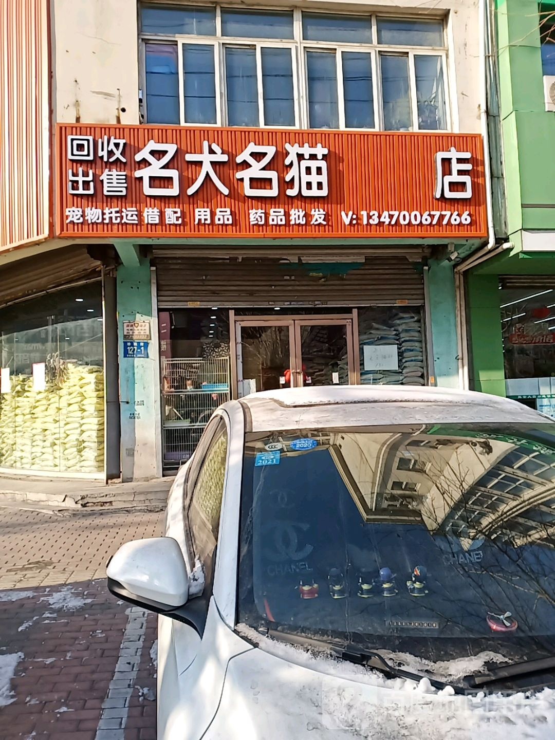 回收出售名犬名猫店