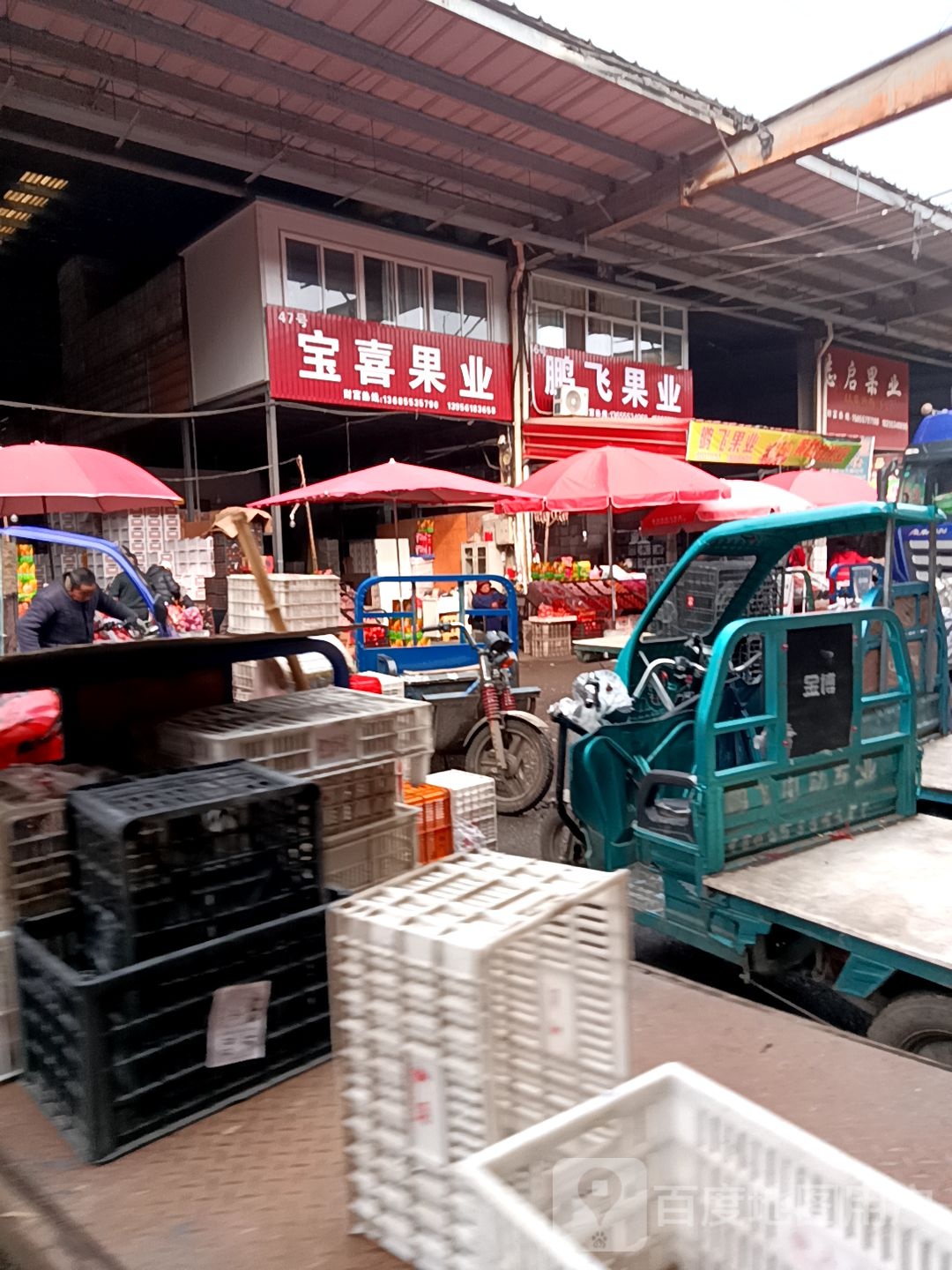 滕飞果业
