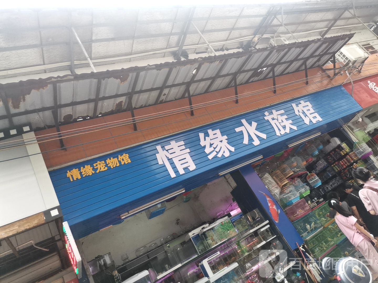情缘宠物馆(五一路店)