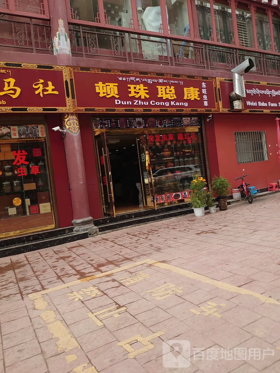 顿珠聪康