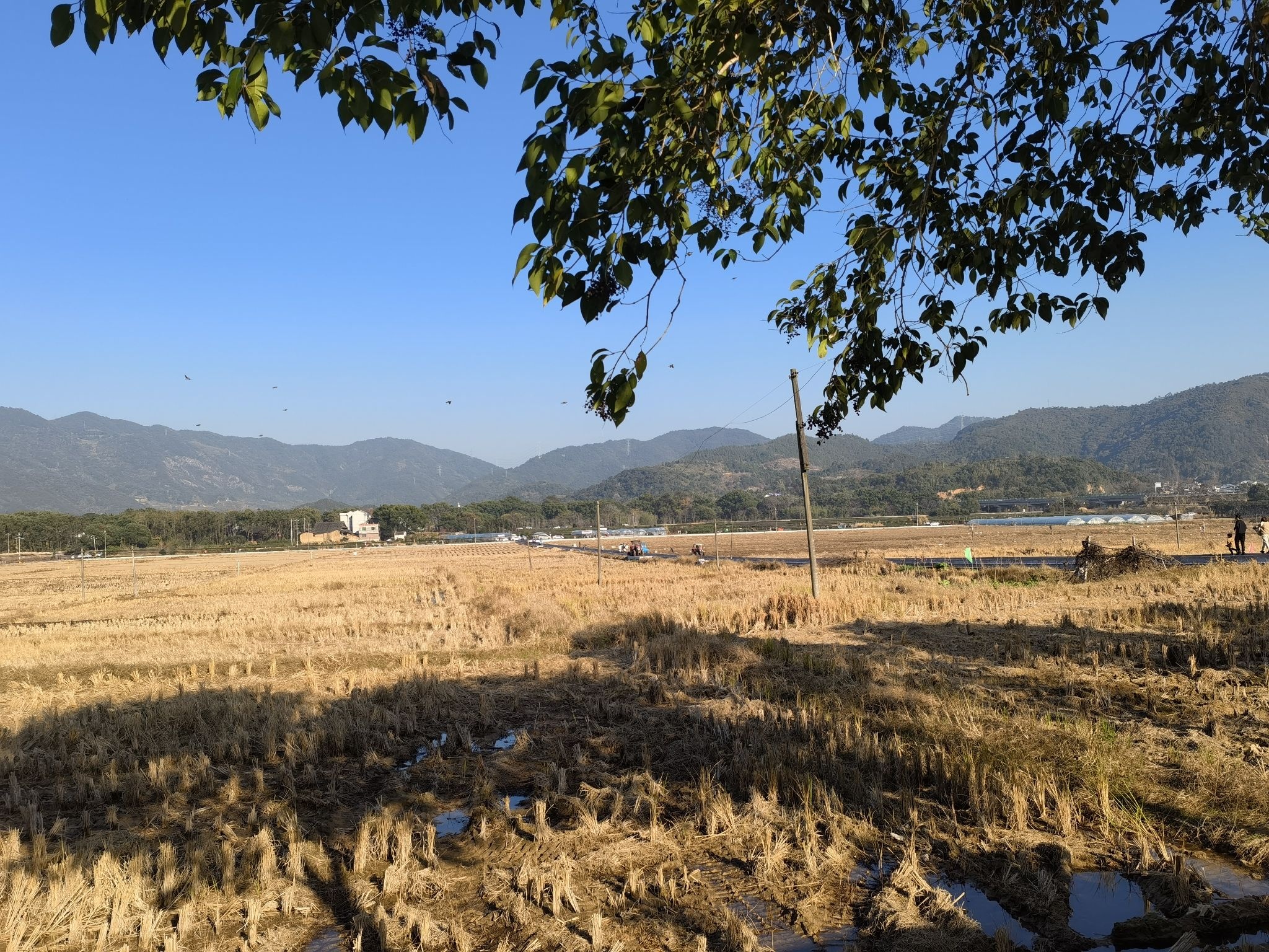 廉村景区