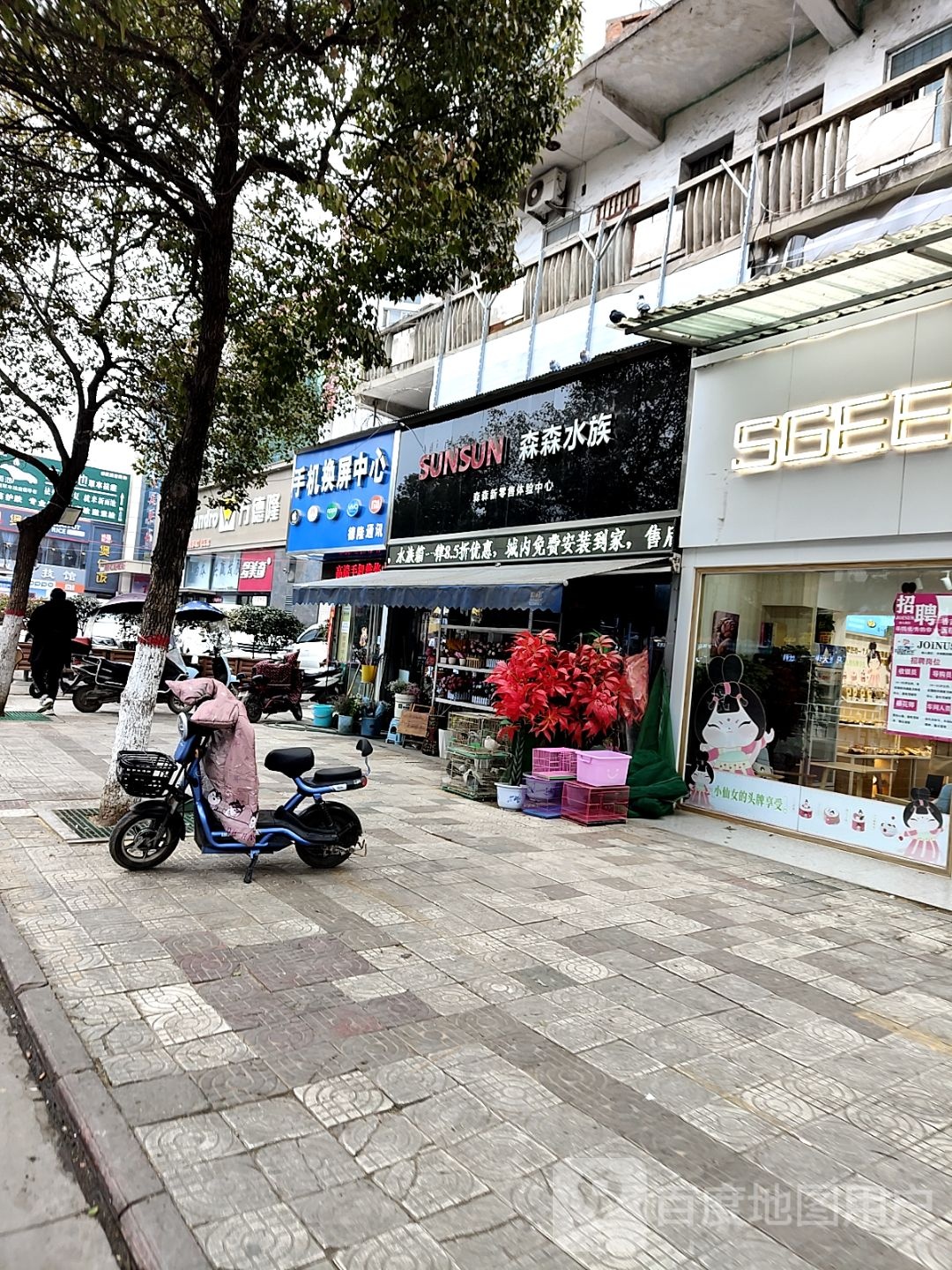 内乡县森森水族(菊潭大街店)