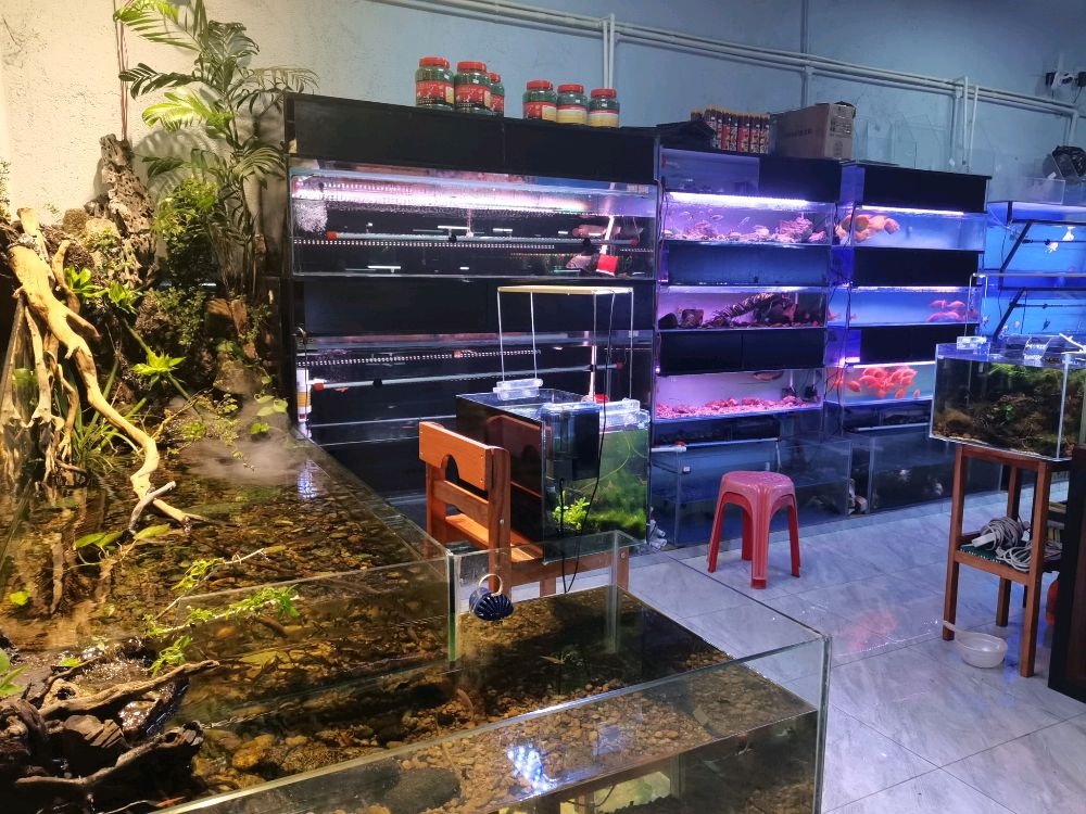 开鑫工艺水族馆