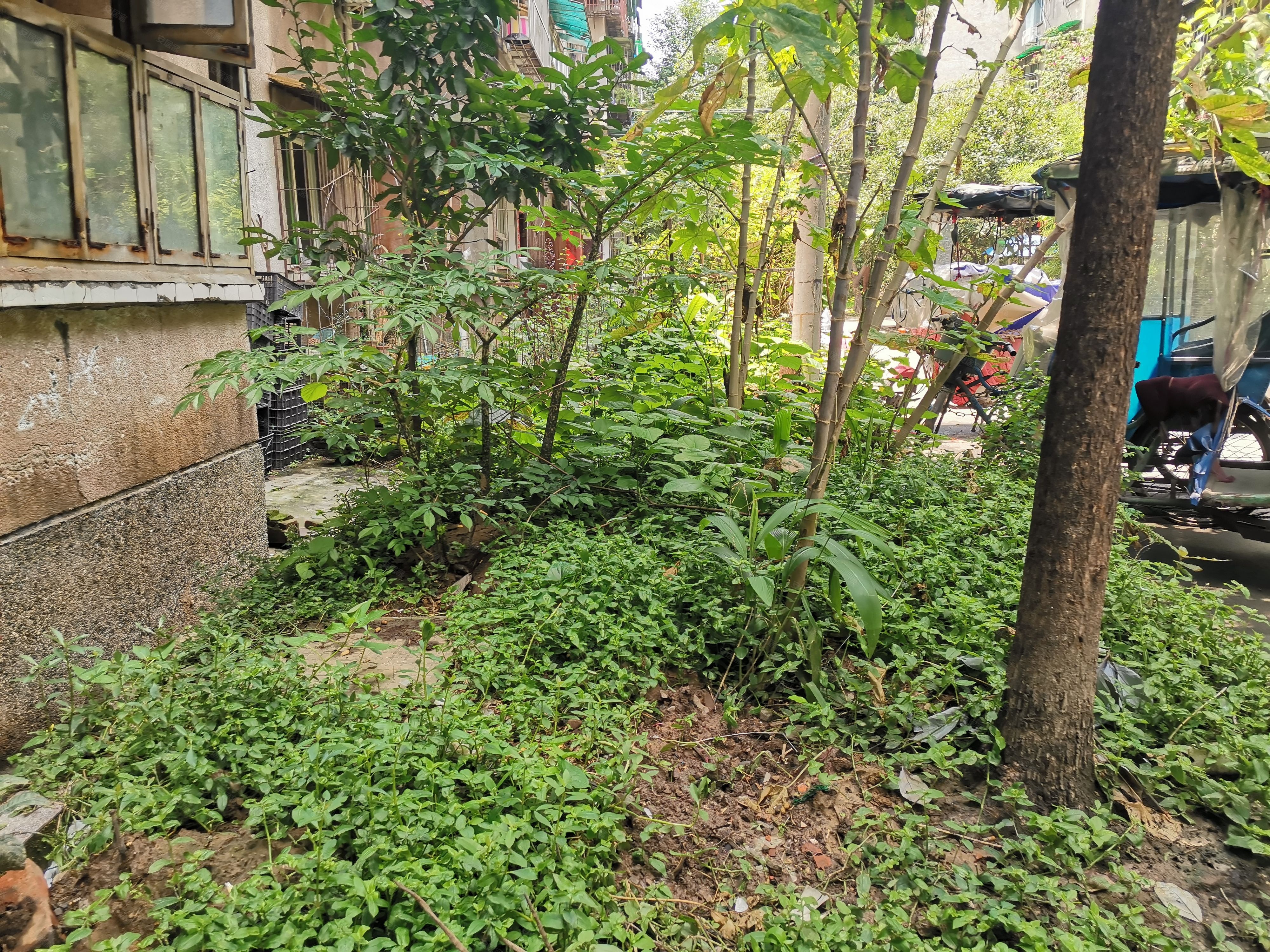 桂花小区