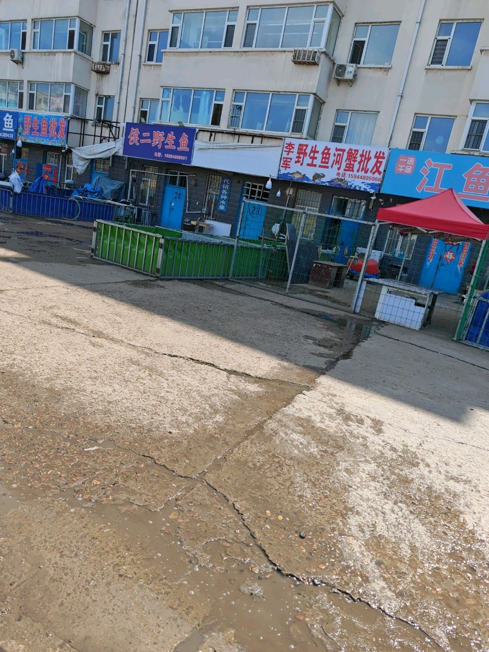 李军野生鱼河蟹批发